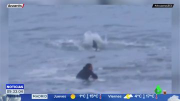 Las escalofriantes imágenes de un surfista esperando una ola sin darse cuenta de que hay un tiburón martillo justo a su lado