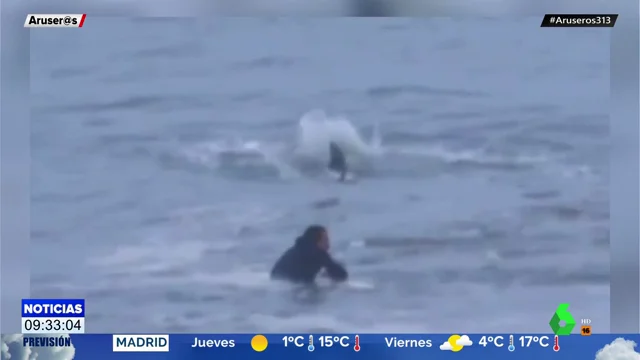 Las escalofriantes imágenes de un surfista esperando una ola sin darse cuenta de que hay un tiburón martillo justo a su lado