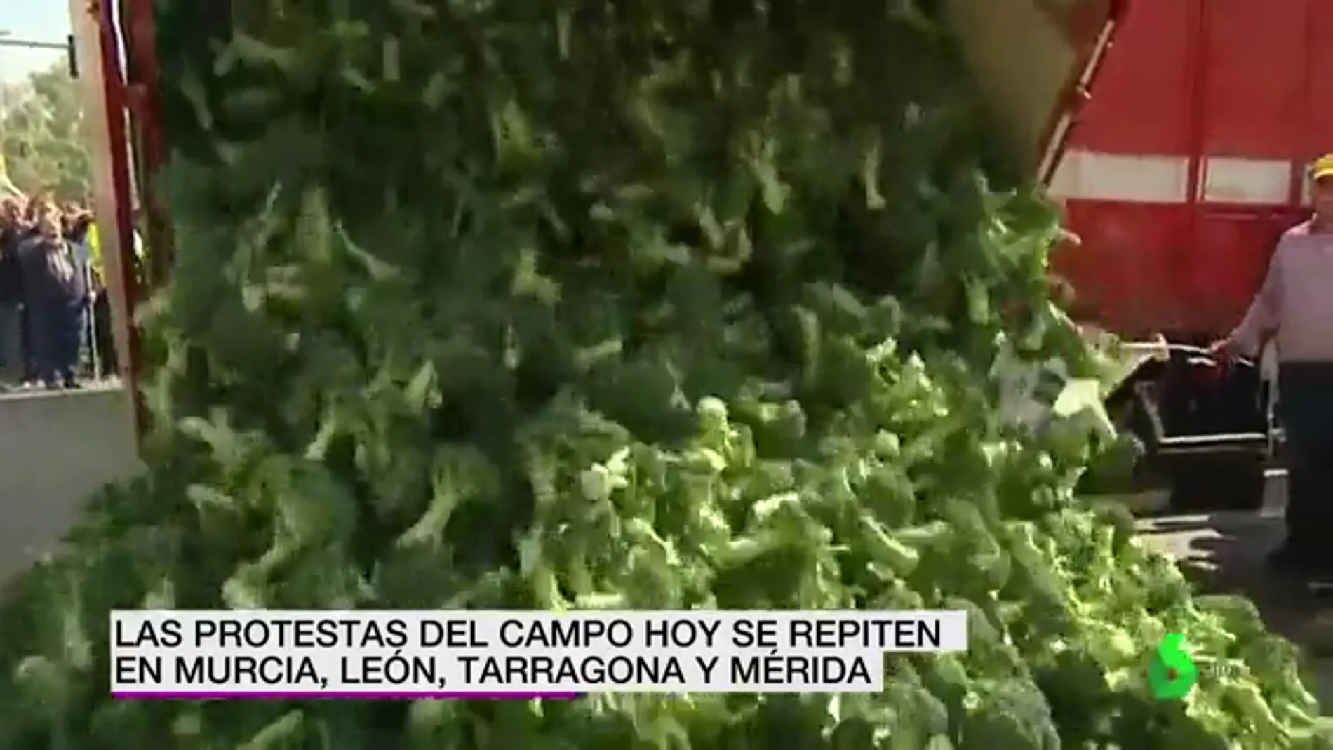 REEMPLAZO Los agricultores arrojan toneladas de brócoli en las protestas de Murcia: "Está por el suelo y los precios también"