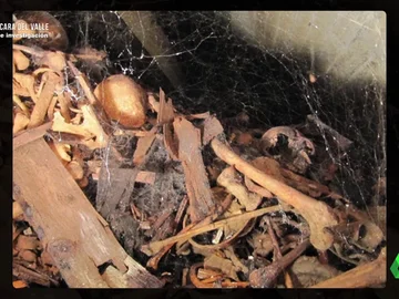 Las impactantes imágenes del interior de las criptas del Valle de los Caídos en las que se encuentran los restos de 30.000 personas