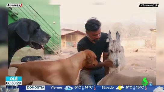 La historia de Sameer Vohra, el hombre que da hogar a más de 400 animales abandonados y maltratados en la India La historia de Sameer Vohra, el hombre que da hogar a más de 400 animales abandonados y maltratados en la India