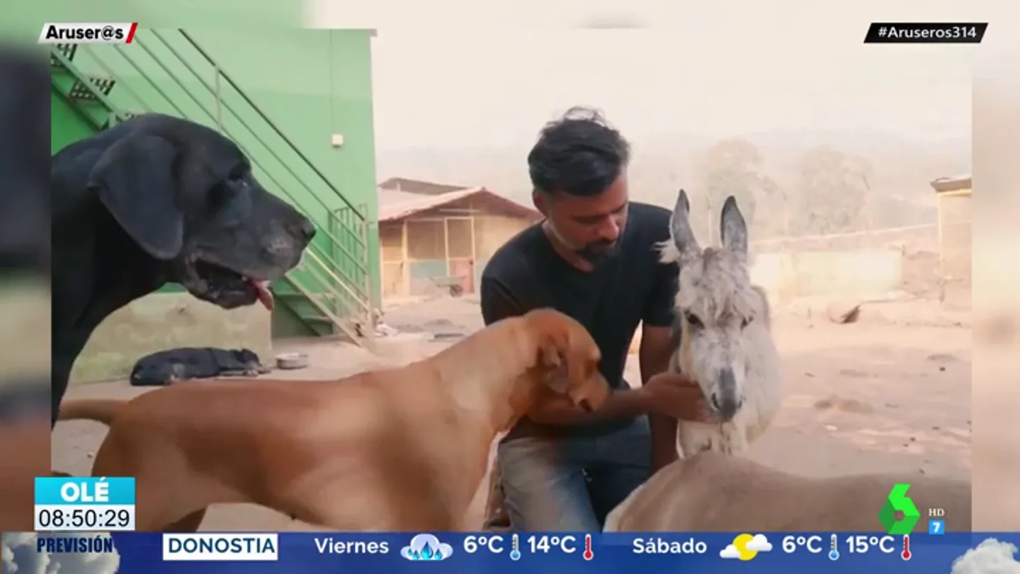 La historia de Sameer Vohra, el hombre que da hogar a más de 400 animales abandonados y maltratados en la India La historia de Sameer Vohra, el hombre que da hogar a más de 400 animales abandonados y maltratados en la India