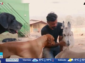 La historia de Sameer Vohra, el hombre que da hogar a más de 400 animales abandonados y maltratados en la India La historia de Sameer Vohra, el hombre que da hogar a más de 400 animales abandonados y maltratados en la India