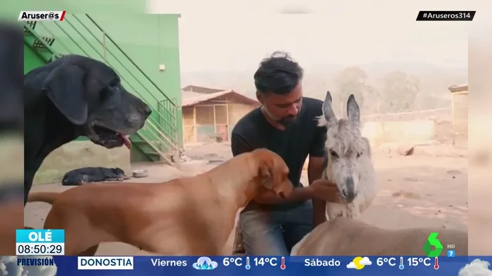 La historia de Sameer Vohra, el hombre que da hogar a más de 400 animales abandonados y maltratados en la India