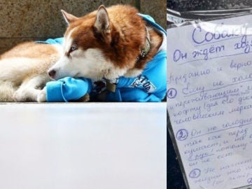 Imágenes del perro y del cartel que deja la dueña. Imágenes del perro y del cartel que deja la dueña.