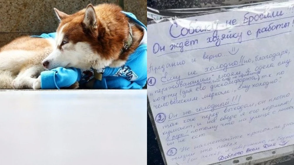 Imágenes del perro y del cartel que deja la dueña. 