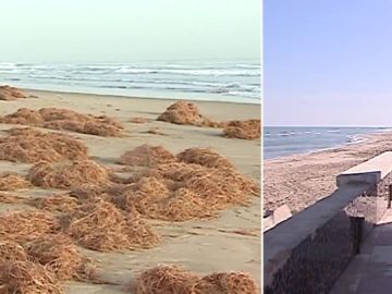 La playa del Perelló, antes y después de sufrir la borrasca 'Gloria' La playa del Perelló, antes y después de sufrir la borrasca 'Gloria'
