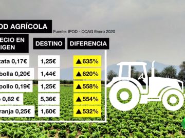 Tabla de precios del campo: la abismal diferencia entre lo que pagas tú y los distribuidores por los productos Tabla de precios del campo: la abismal diferencia entre lo que pagas tú y los distribuidores por los productos