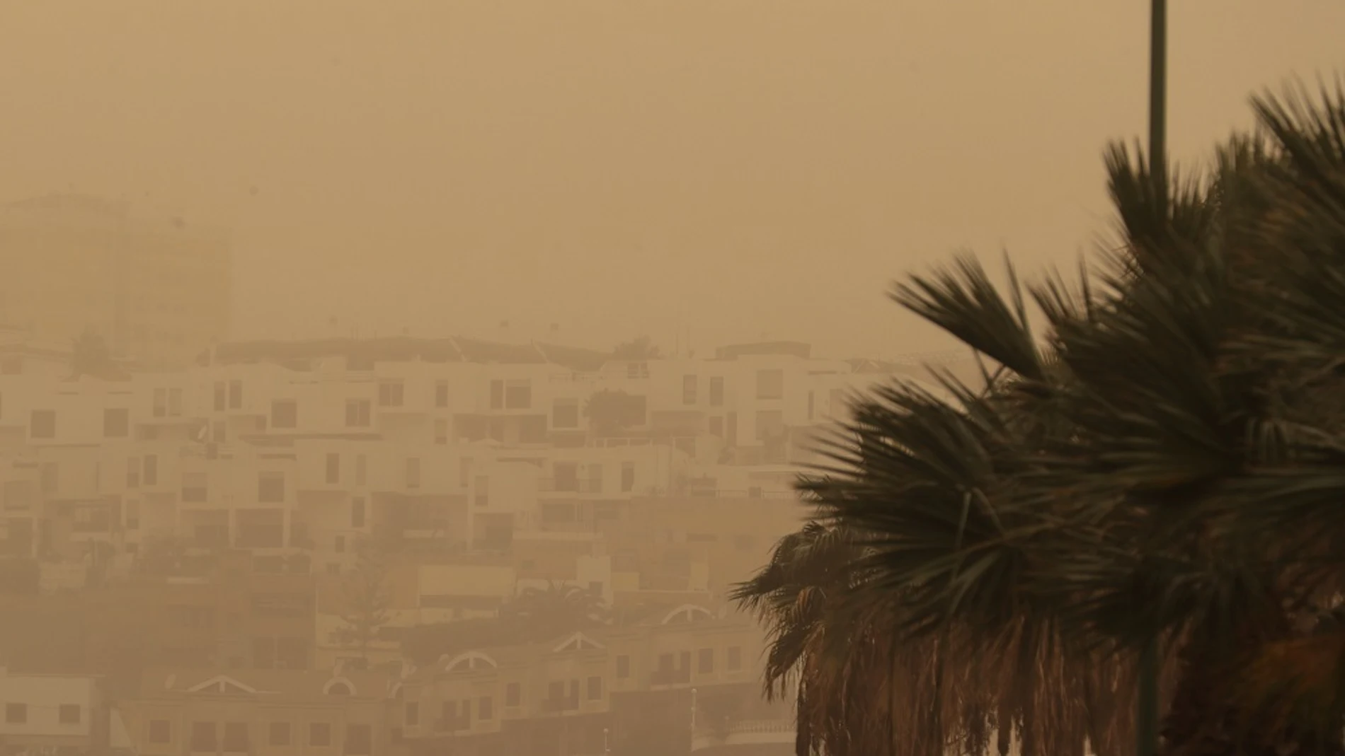 Imagen de la calima en Canarias