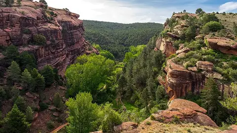 Pinares de Rodeno en Albarracín Pinares de Rodeno en Albarracín