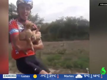 El grupo de ciclistas más aplaudido de las redes: rescatan a seis cachorros abandonados en mitad de la montaña El grupo de ciclistas más aplaudido de las redes: rescatan a seis cachorros abandonados en mitad de la montaña
