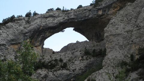 El delfín, Rodellar