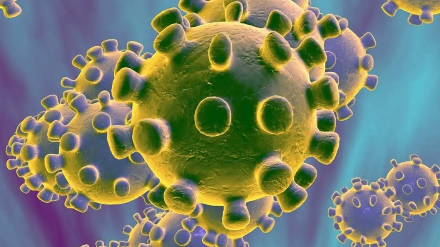 coronavirus coronavirus