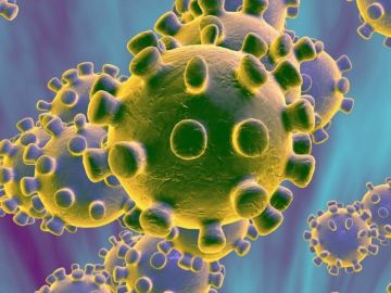 coronavirus coronavirus