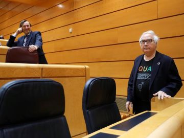 El ministro de Universidades, Manuel Castells, junto al senador del PP, Rafael Hernando El ministro de Universidades, Manuel Castells, junto al senador del PP, Rafael Hernando
