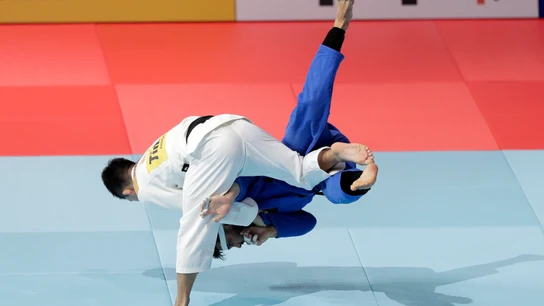 Pelea de judo Pelea de judo