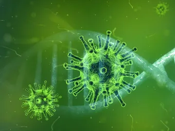 Situación epidemiológica Situación epidemiológica