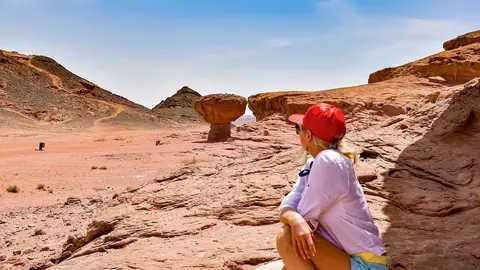 Desierto del Négev Desierto del Négev