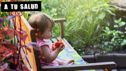 Bebé comiendo fruta A tú salud