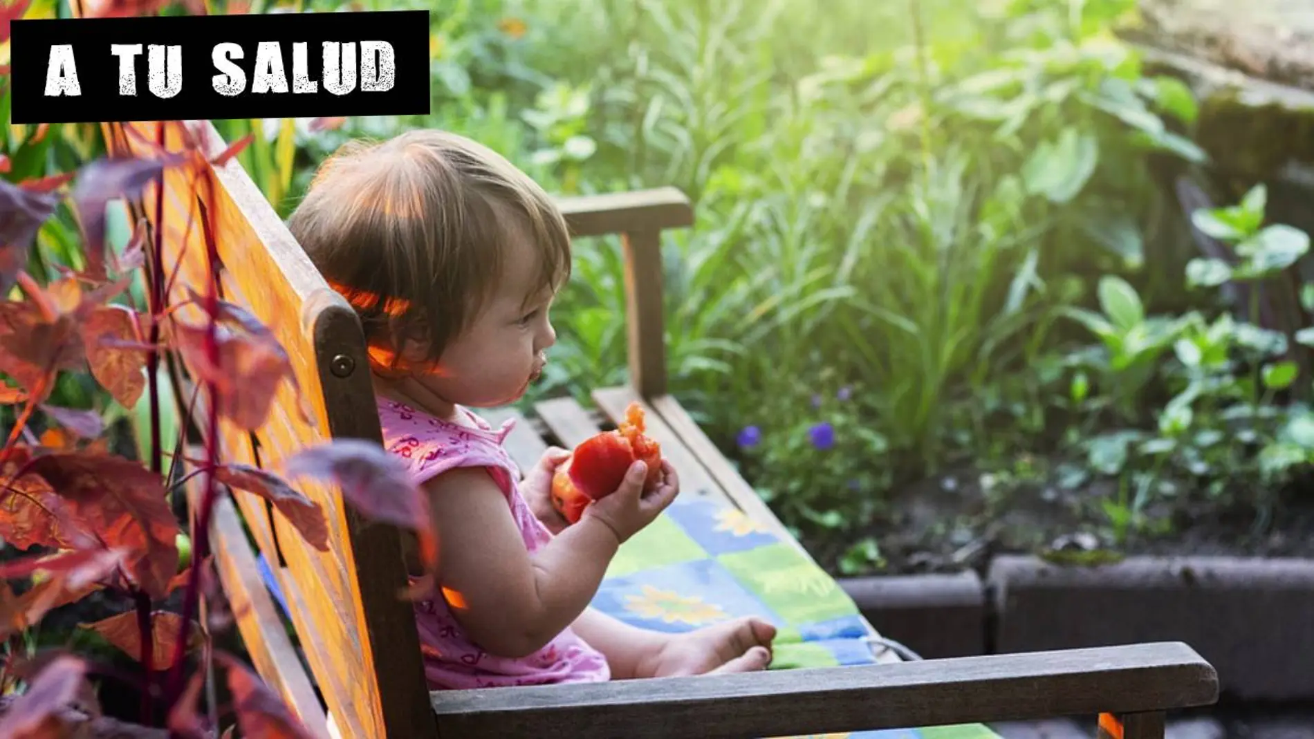 Bebé comiendo fruta Bebé comiendo fruta