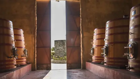Bodega Bodega