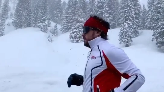 Fernando Alonso. Fernando Alonso.