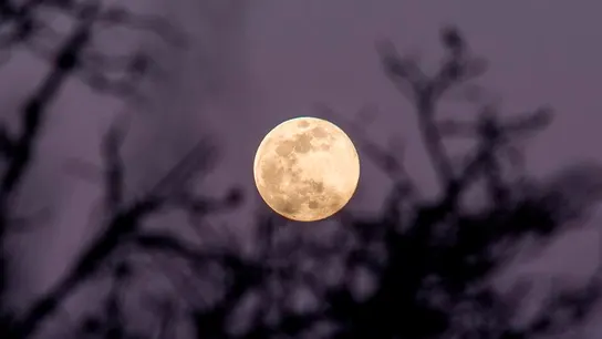 Superluna de las flores: ¿Por qué hoy la luna es tres veces más especial? Vista de una superluna (Archivo)