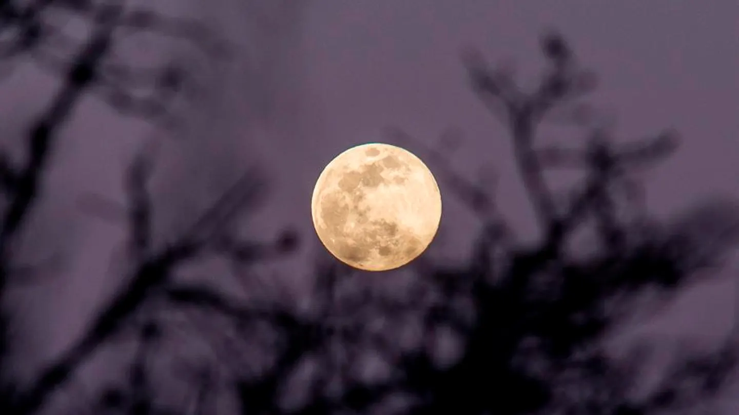 Superluna de las flores: ¿Por qué hoy la luna es tres veces más especial? Vista de una superluna (Archivo)