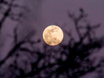 Superluna mayo 2020; Hora y cómo ver la Superluna de las flores hoy desde España Superluna mayo 2020; Hora y cómo ver la Superluna de las flores hoy desde España