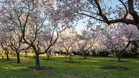 Parque Quinta de los Molinos
