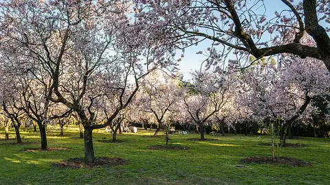 Parque Quinta de los Molinos Parque Quinta de los Molinos