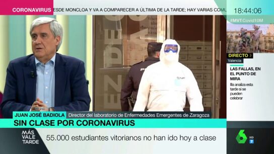 Badiola: "El pico m&aacute;ximo de contagios por coronavirus en Espa&ntilde;a podr&iacute;a estar la primera quincena de abril"
