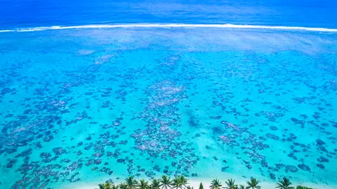 Rarotonga Rarotonga