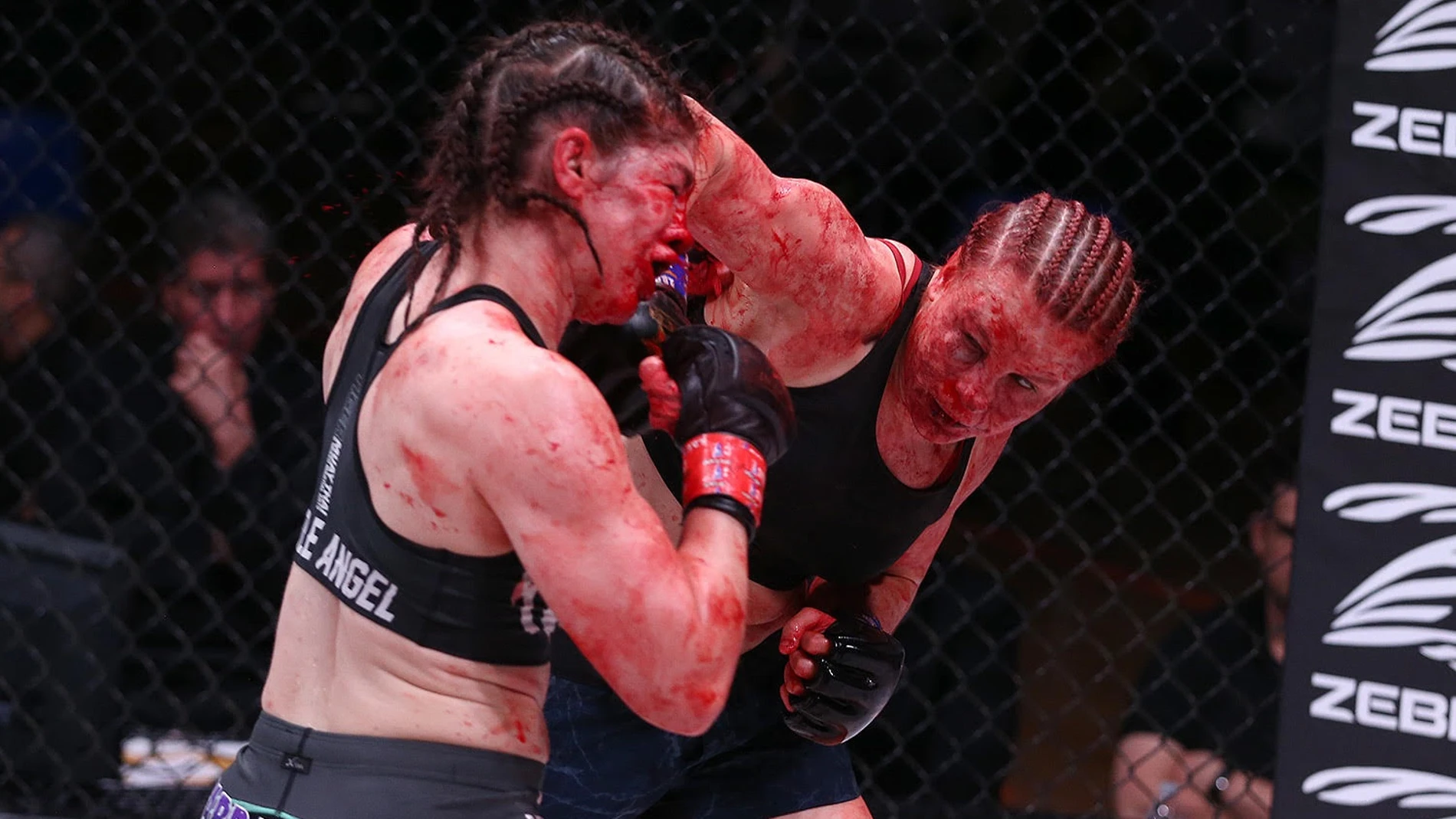 Monet este medio Un baño de sangre: una luchadora de MMA sufre un brutal corte en la cara  tras un puñetazo