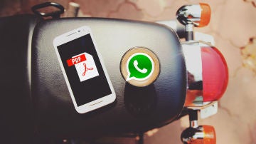 PDF y WhatsApp