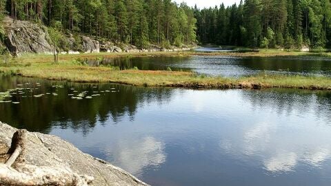 Parque Nacional Nuuksio 
