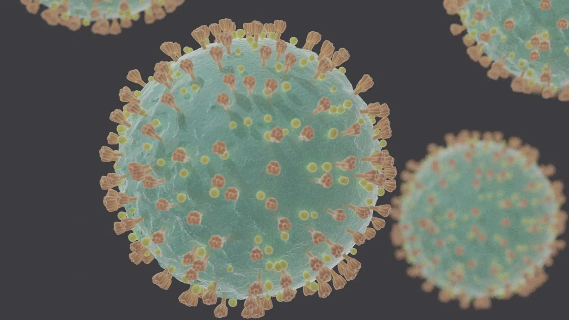 La primera secuencia de un SARS CoV 2 espanol corrobora que muta menos que la gripe