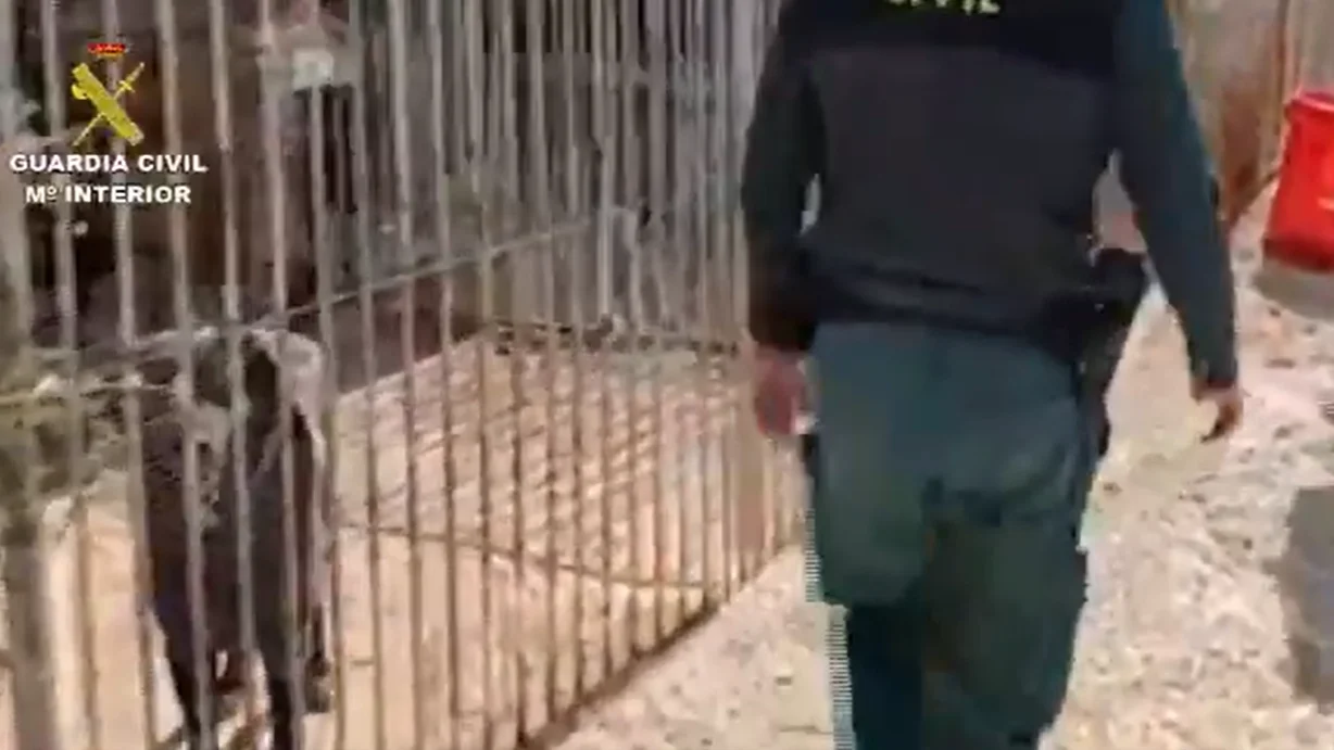 La Guardia Civil, en la protectora de la dueña acusada de matar a unos 500 animales