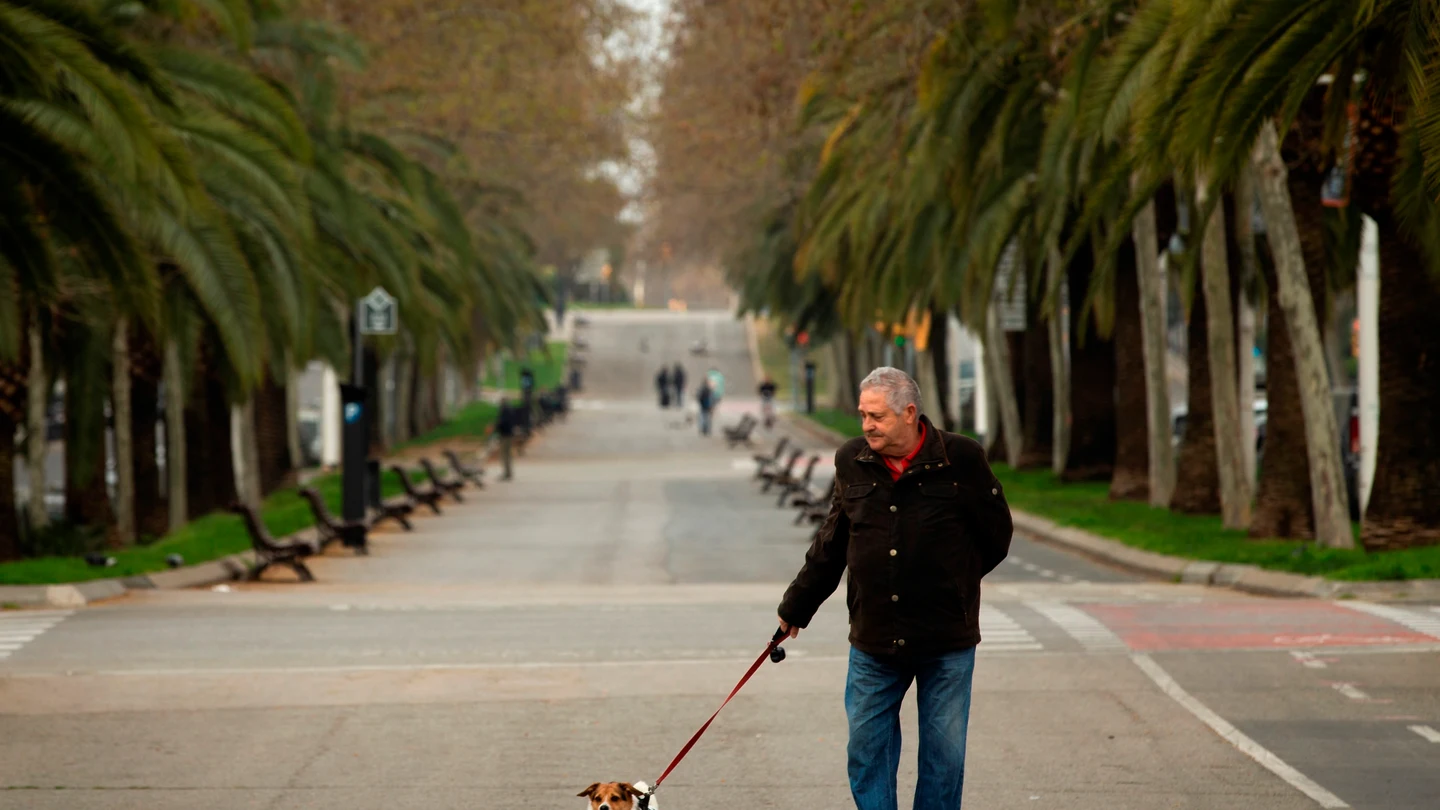 Un hombre pasea a su perro en Barcelona Un hombre pasea a su perro en Barcelona