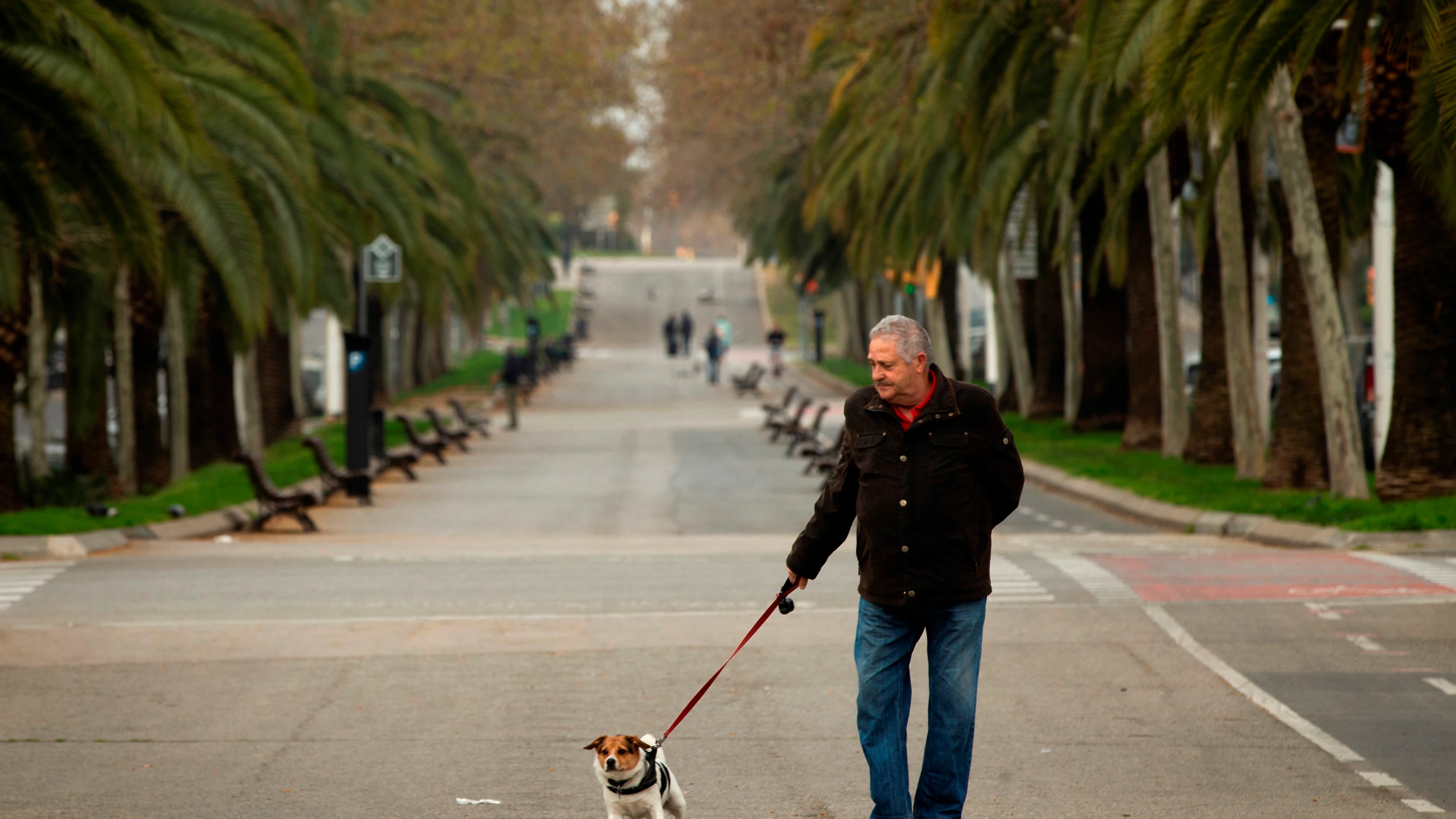 Un hombre pasea a su perro en Barcelona