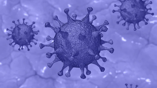 Imagen de un coronavirus Imagen de un coronavirus