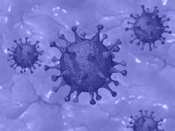 Imagen de un coronavirus