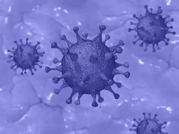 Imagen de un coronavirus Imagen de un coronavirus