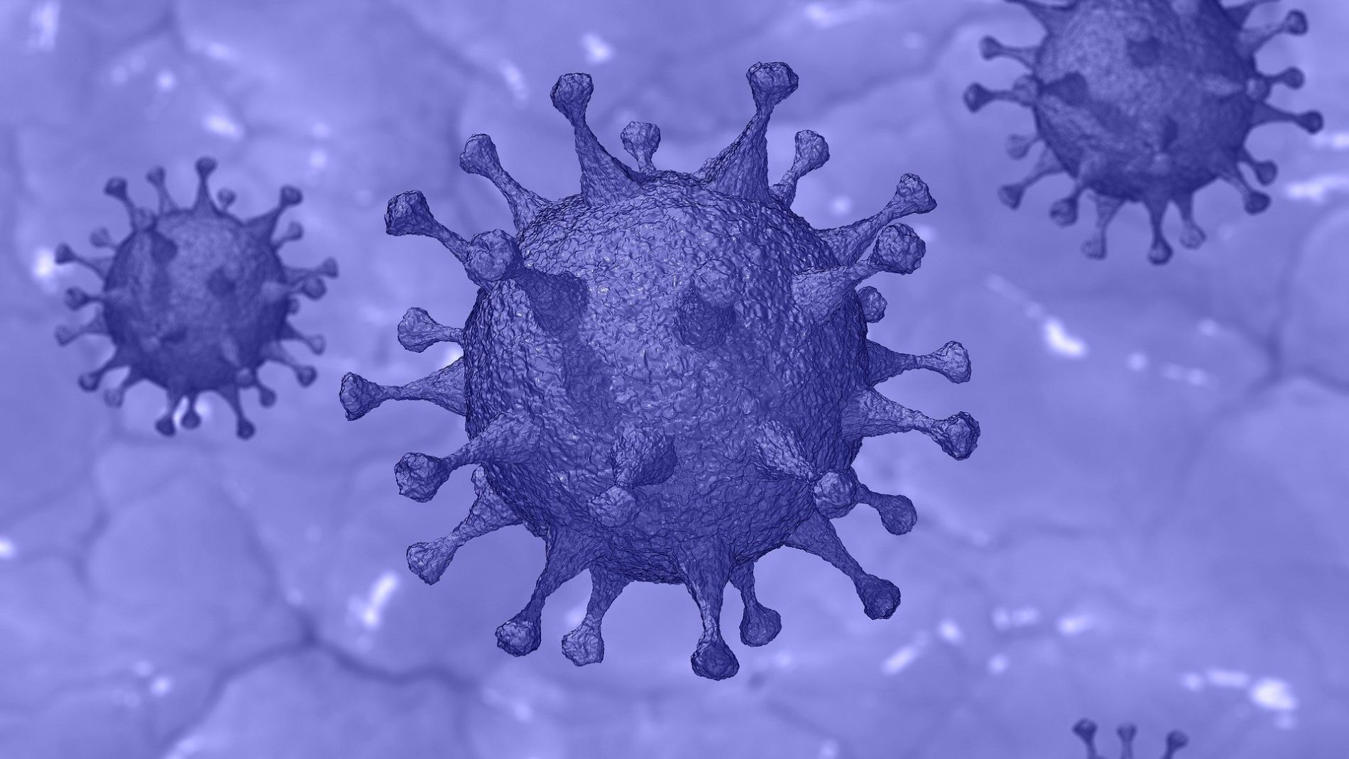 Imagen de un coronavirus