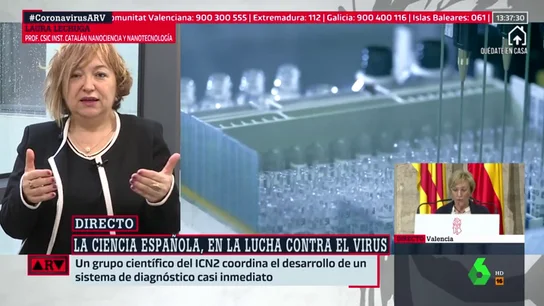 Laura Lechuga, investigadora del CSIC: "Cuando esta crisis pase debemos reflexionar y ver en qué tenemos que invertir realmente" Laura Lechuga, investigadora del CSIC: "Cuando esta crisis pase debemos reflexionar y ver en qué tenemos que invertir realmente"