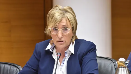 La consellera de Sanidad, Ana Barceló. La consellera de Sanidad, Ana Barceló.