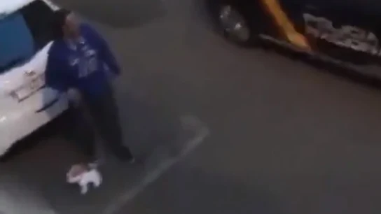 Los agentes sorprendieron a un hombre que paseaba un perro de peluche en Palencia Los agentes sorprendieron a un hombre que paseaba un perro de peluche en Palencia