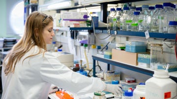 El Gobierno aprueba casi 30 millones para la investigacion frente al COVID 19