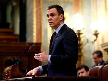 Pedro Sánchez en el Congreso de los Diputados Pedro Sánchez en el Congreso de los Diputados