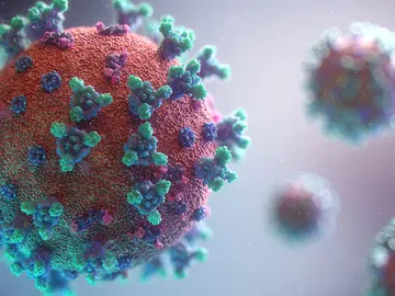 Virus Virus